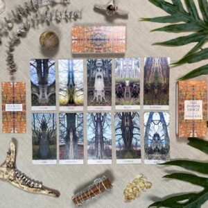 The "Tree Whisper Oracle" cards are beautifully arrayed on a textured surface, showcasing tree images with themes like "Safety" and "Roots," enhanced by crystal, bone, and leaf decorations.