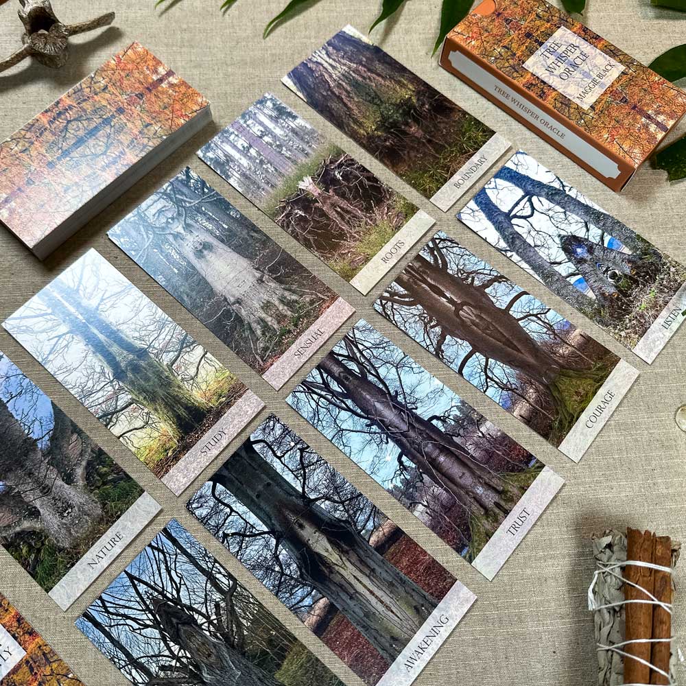 The Tree Whisper Oracle set, consisting of rectangular cards featuring tree photos labeled "Nature," "Shadow," and "Journey," is displayed on a table. Nearby, an open forest-themed box and a small tied bundle of sticks complete the scene.